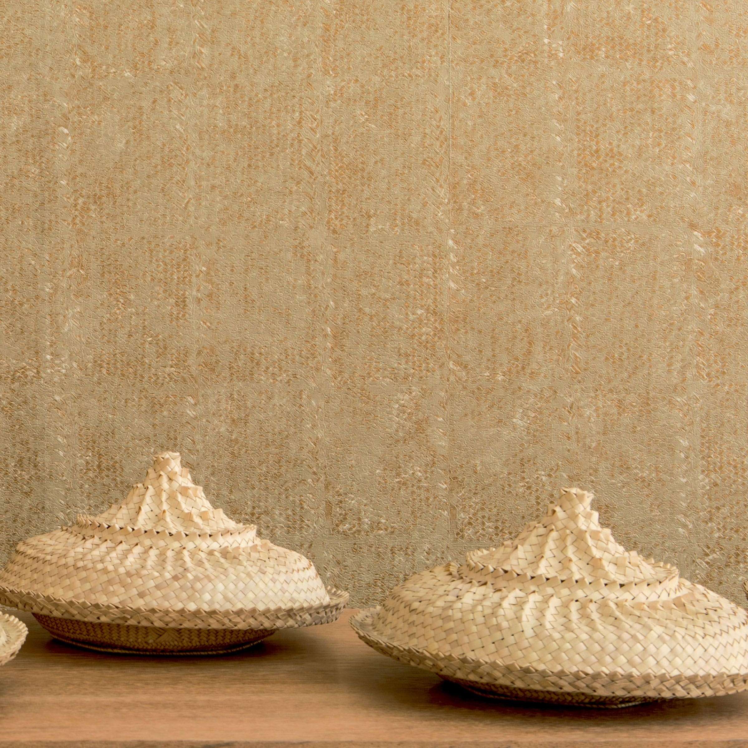 TAPETA ŚCIENNA LACA SALVAJE - obrazek 2