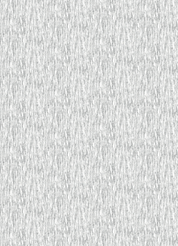 TAPETA ŚCIENNA BELITUNG METAL - obrazek 4