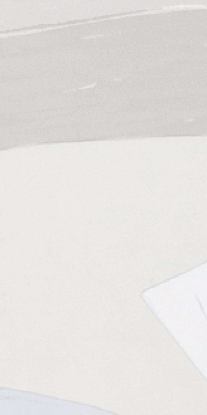 TAPETA ŚCIENNA NID D'OISEAU - obrazek 7