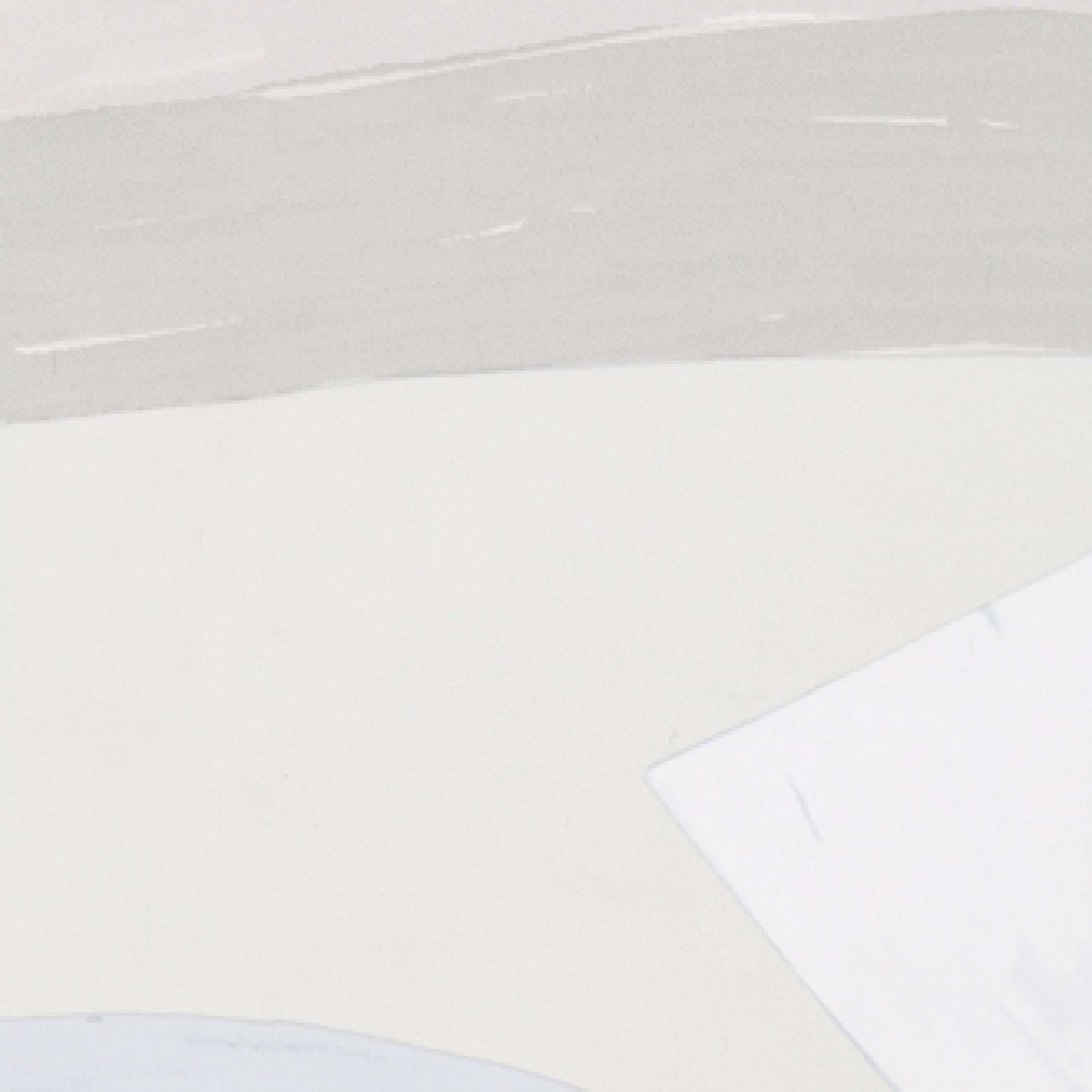 TAPETA ŚCIENNA NID D