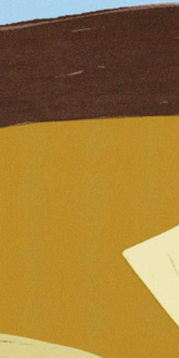 TAPETA ŚCIENNA NID D'OISEAU - obrazek 9