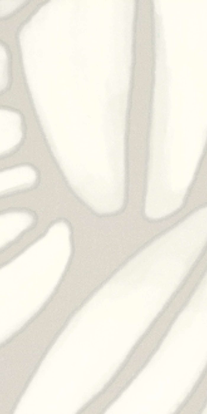 TAPETA ŚCIENNA SUCCULENTE - obrazek 7