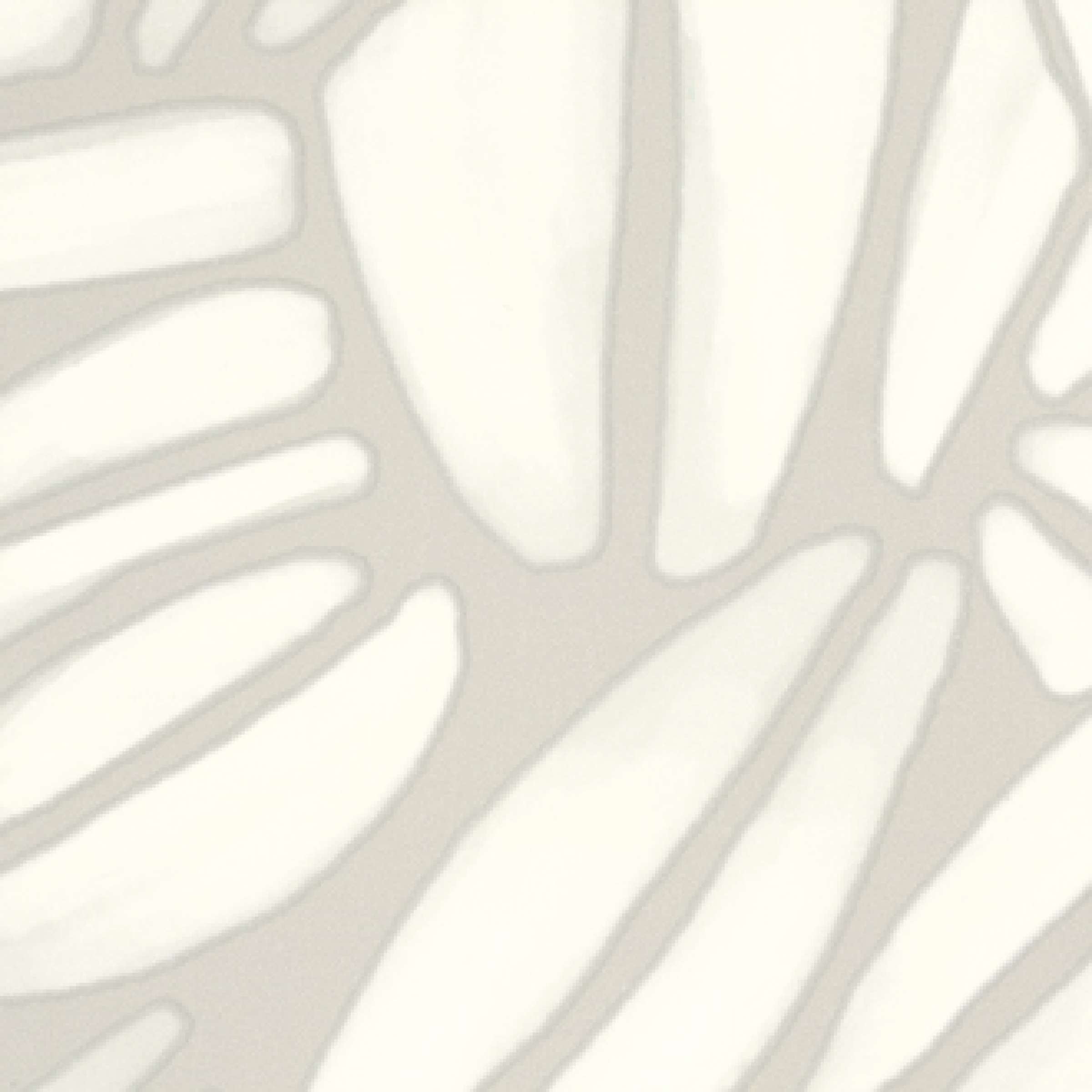 TAPETA ŚCIENNA SUCCULENTE - obrazek 7