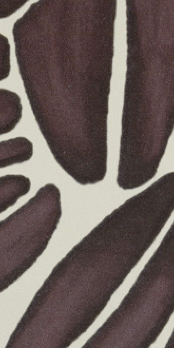 TAPETA ŚCIENNA SUCCULENTE - obrazek 10