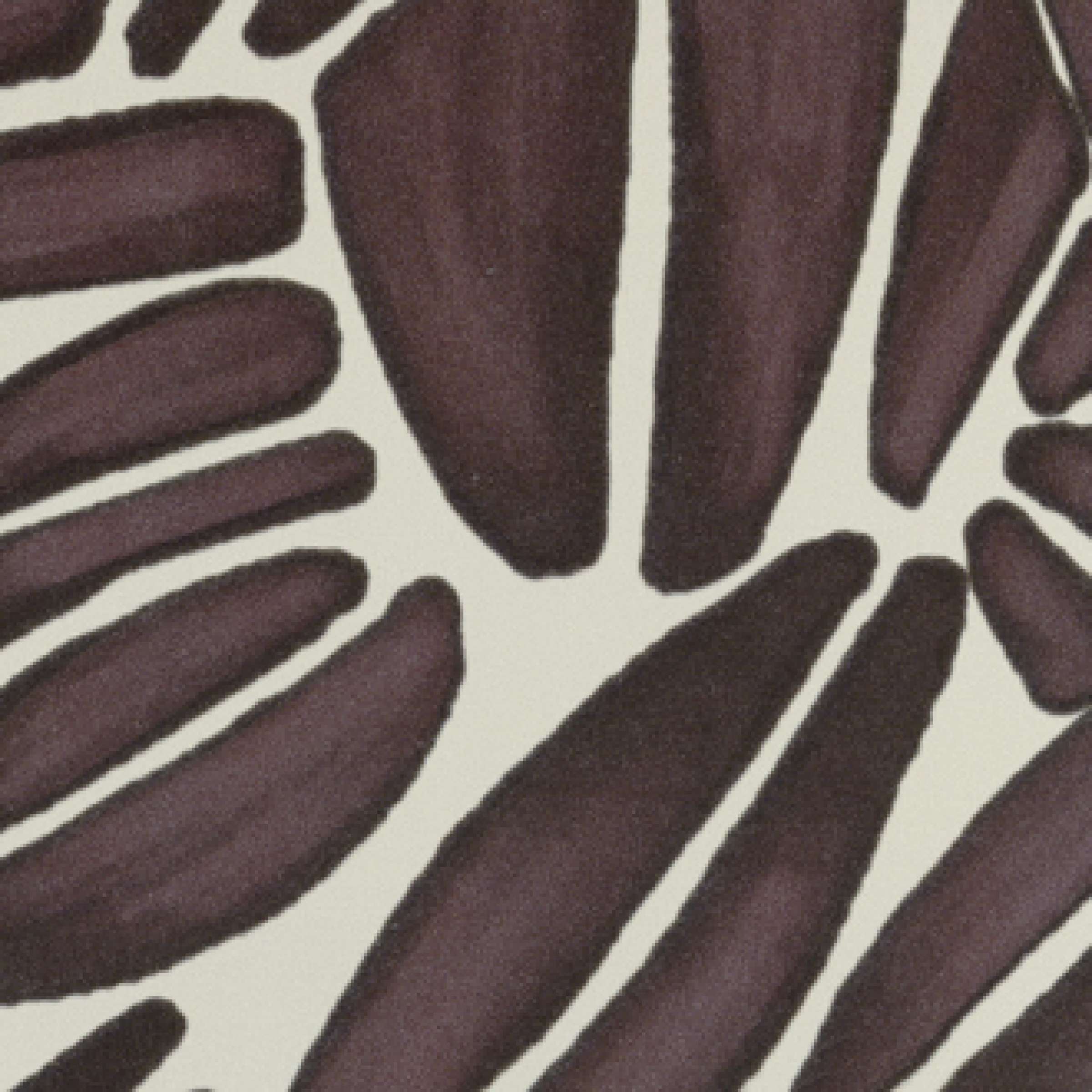 TAPETA ŚCIENNA SUCCULENTE - obrazek 10