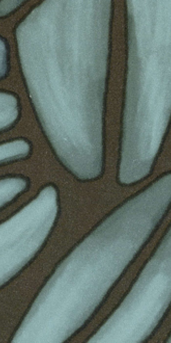 TAPETA ŚCIENNA SUCCULENTE - obrazek 8