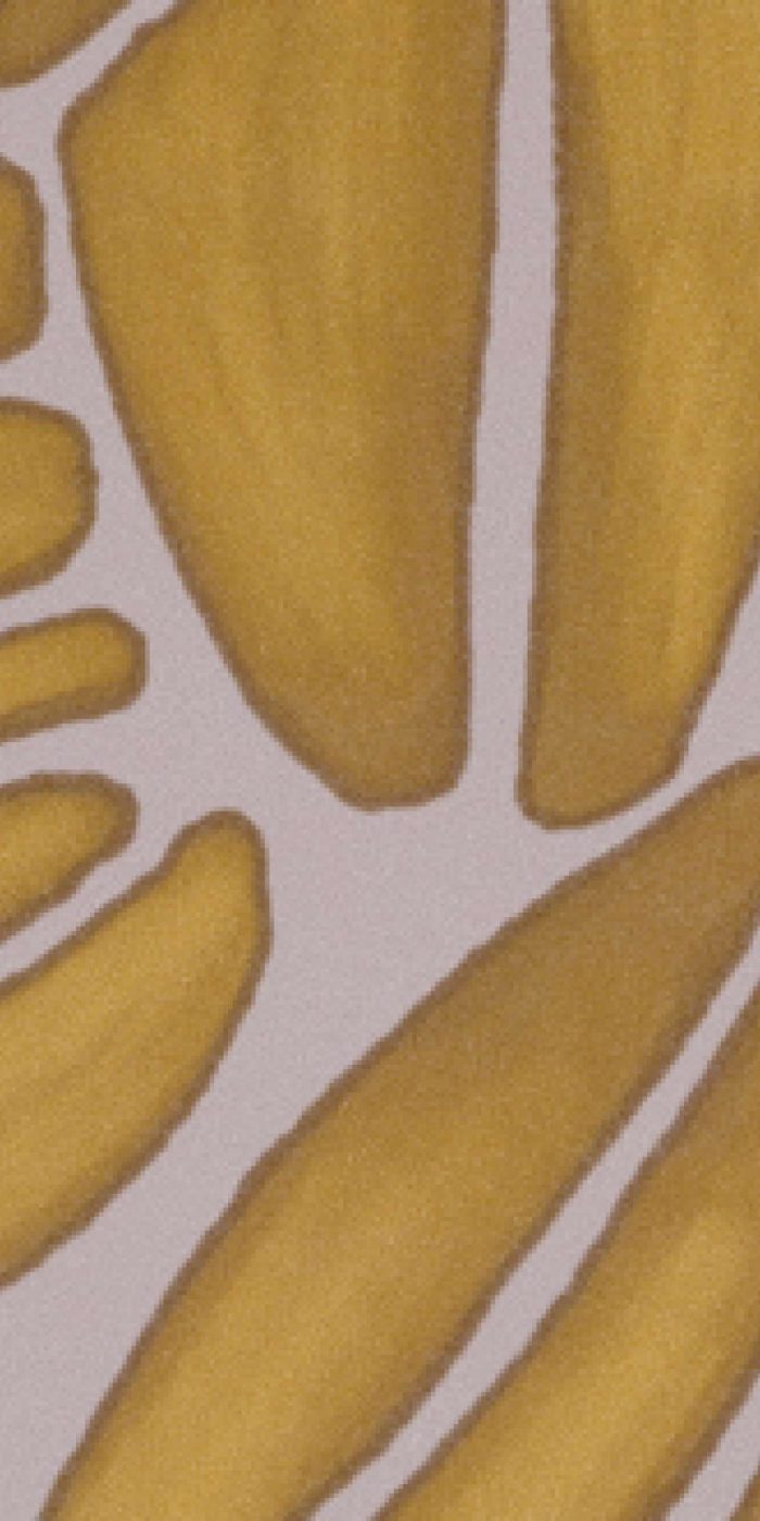 TAPETA ŚCIENNA SUCCULENTE - obrazek 9