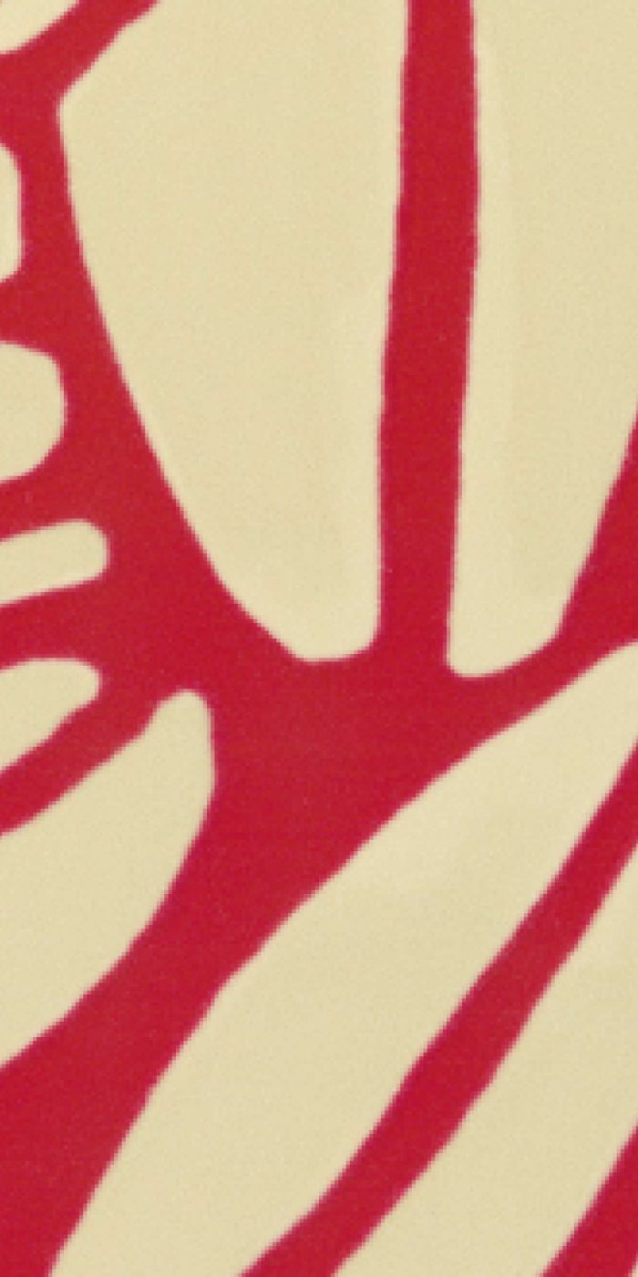 TAPETA ŚCIENNA SUCCULENTE - obrazek 11