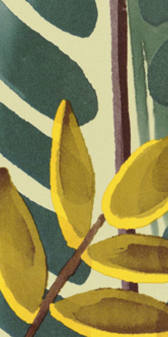 TAPETA ŚCIENNA ALOCASIA - obrazek 7