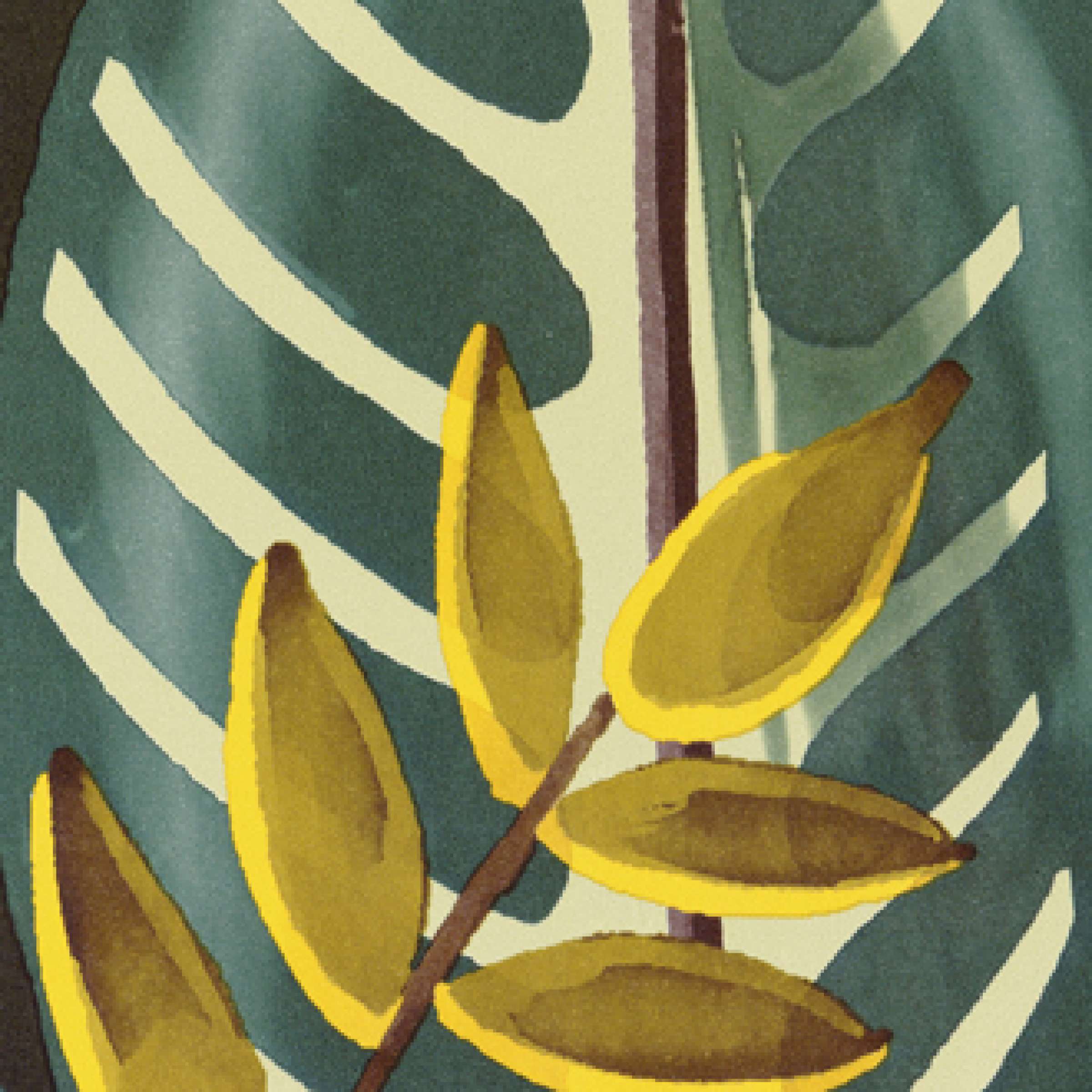 TAPETA ŚCIENNA ALOCASIA - obrazek 7