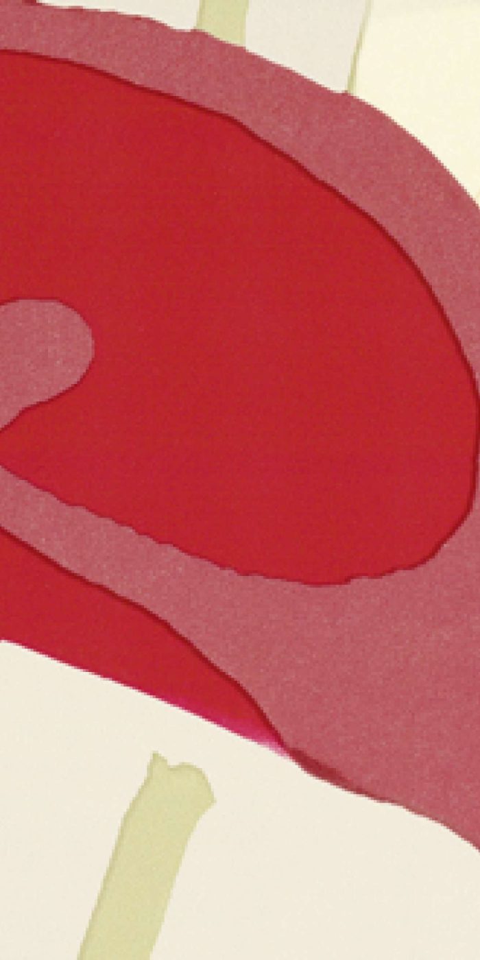 TAPETA ŚCIENNA ARUM - obrazek 11