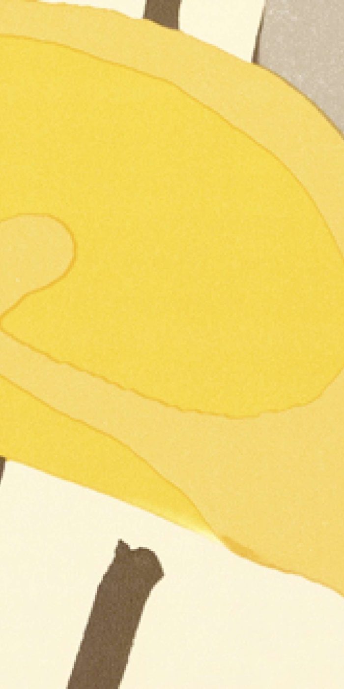 TAPETA ŚCIENNA ARUM - obrazek 8