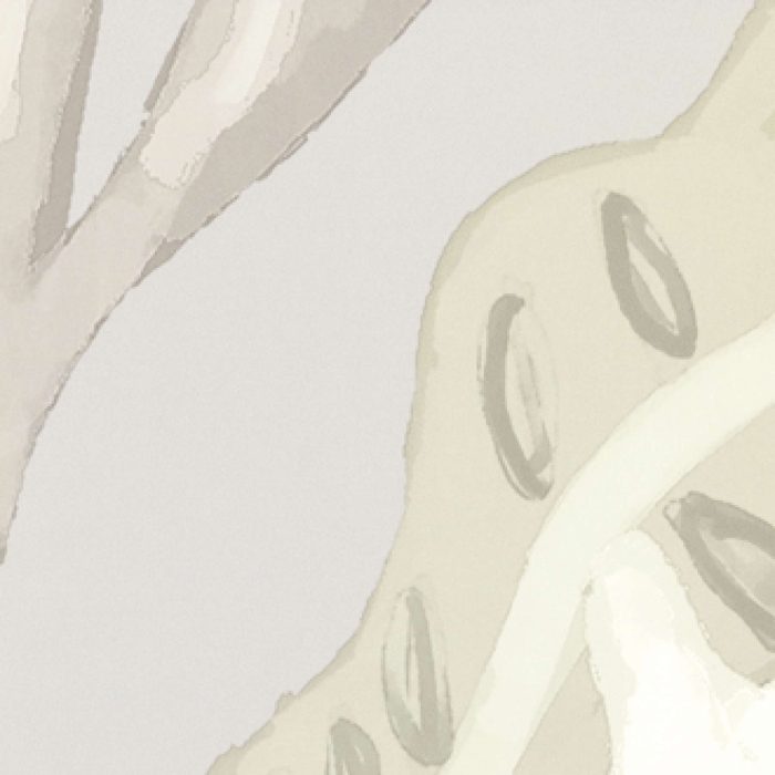 TAPETA ŚCIENNA FLEUR DE LUNE - obrazek 10