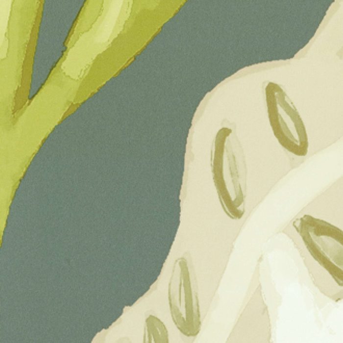 TAPETA ŚCIENNA FLEUR DE LUNE - obrazek 8