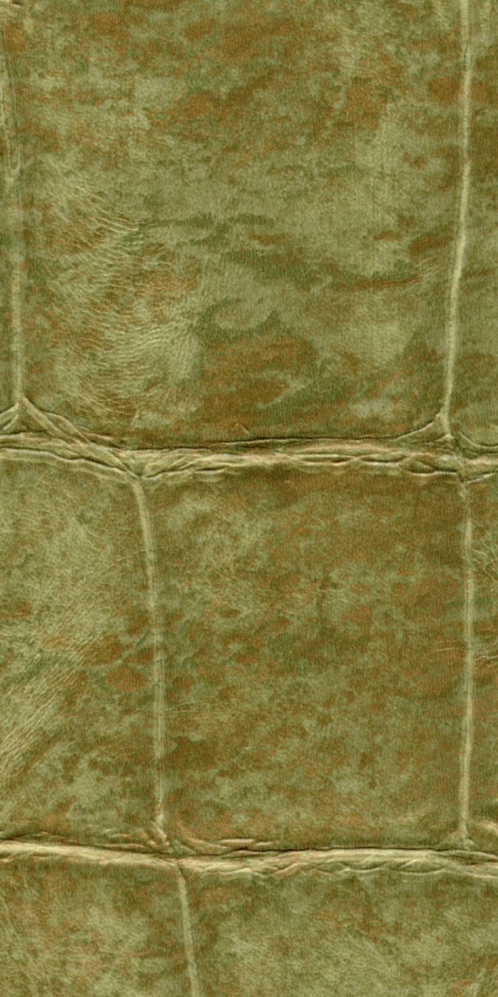 TAPETA ŚCIENNA BIG CROCO - obrazek 10