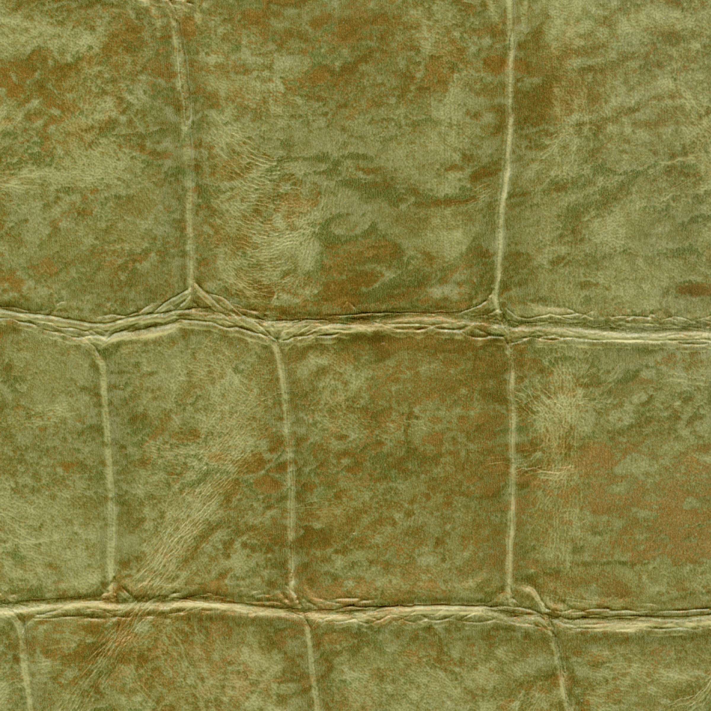 TAPETA ŚCIENNA BIG CROCO - obrazek 10