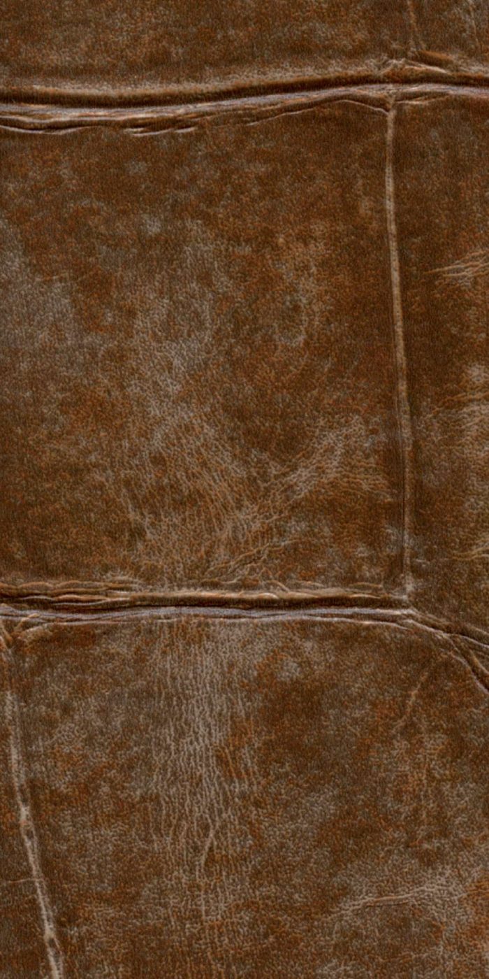 TAPETA ŚCIENNA BIG CROCO - obrazek 12