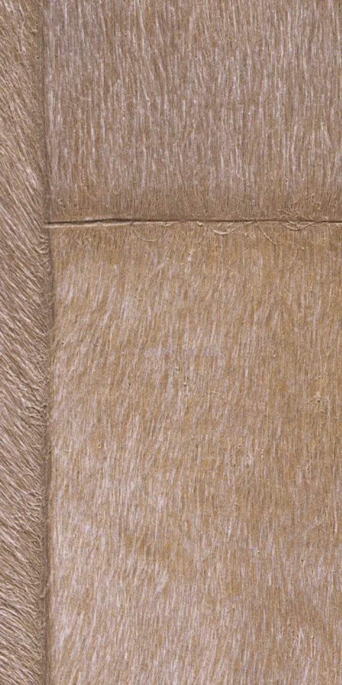 TAPETA ŚCIENNA APPALOOSA - obrazek 12