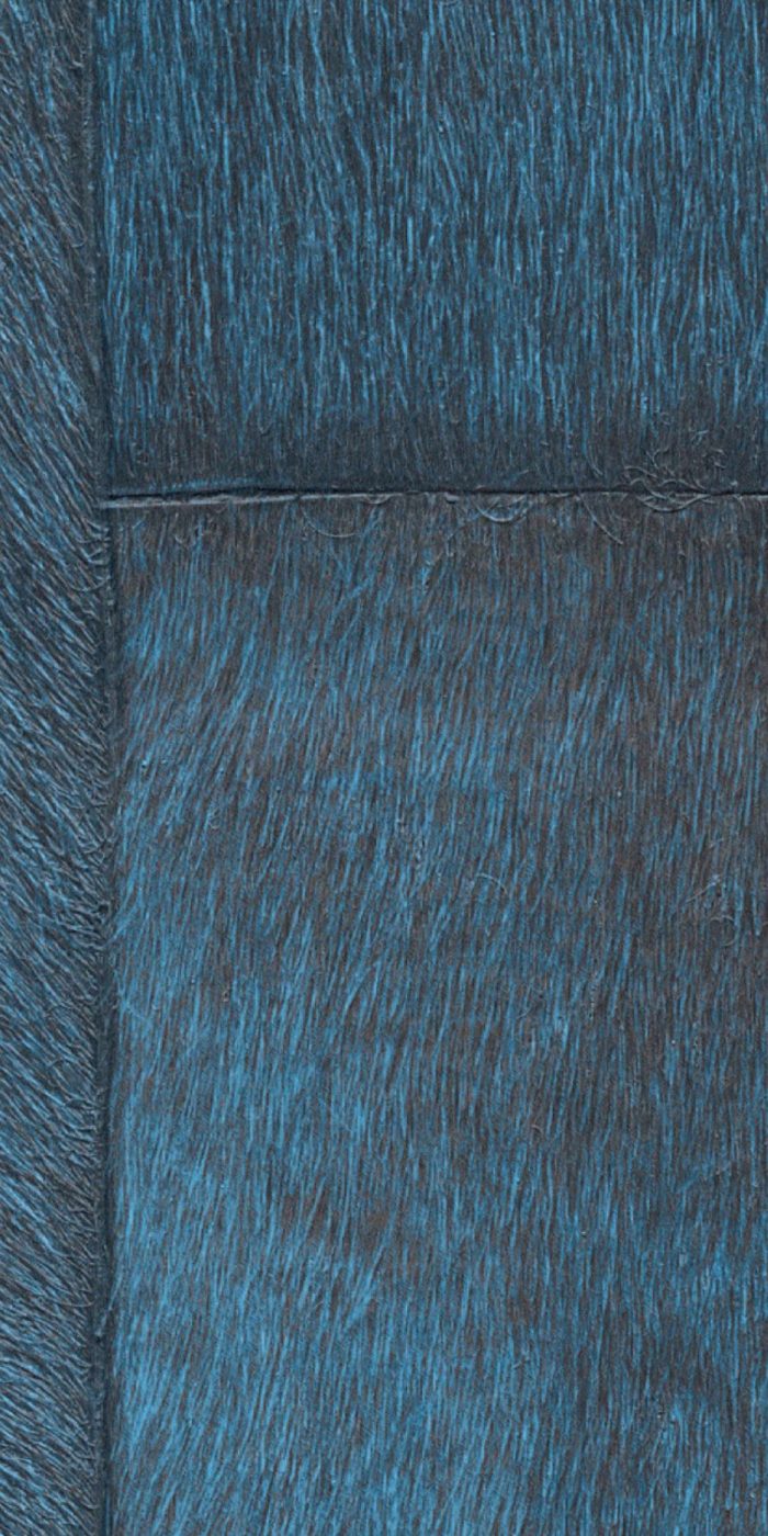 TAPETA ŚCIENNA APPALOOSA - obrazek 7