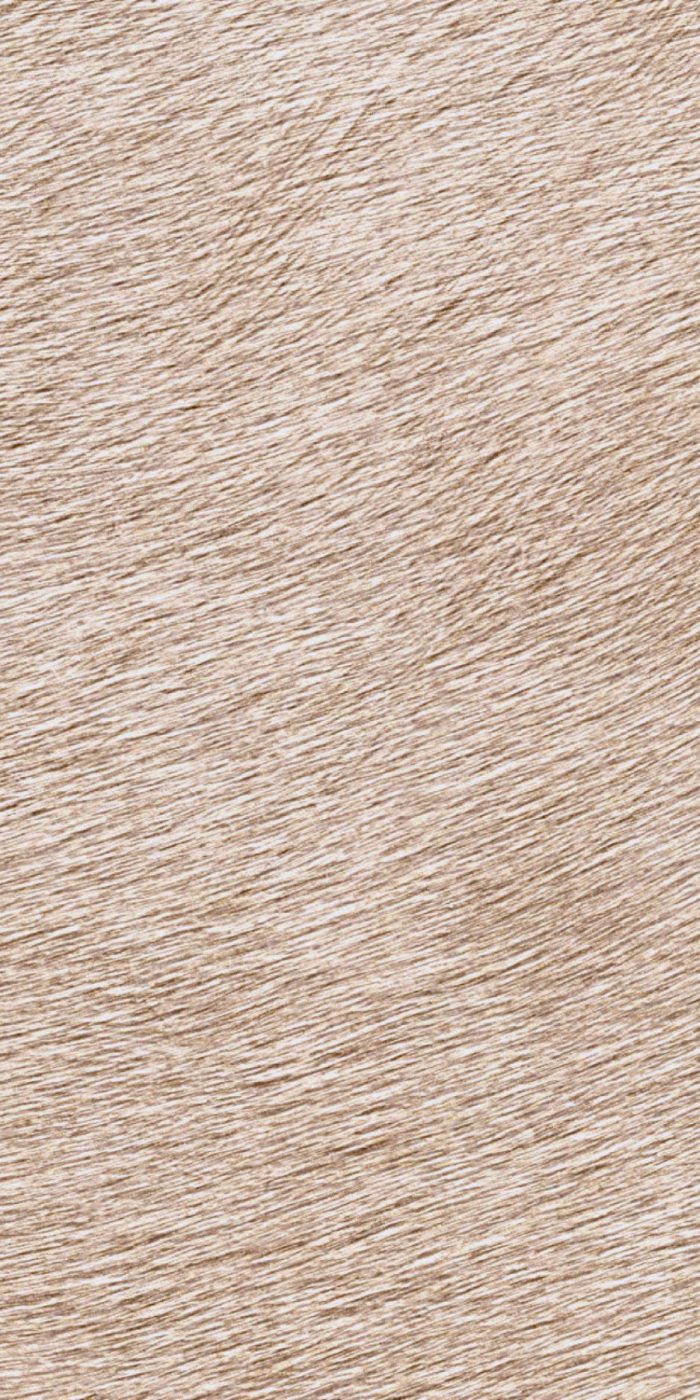 TAPETA ŚCIENNA MOVIDA - obrazek 8