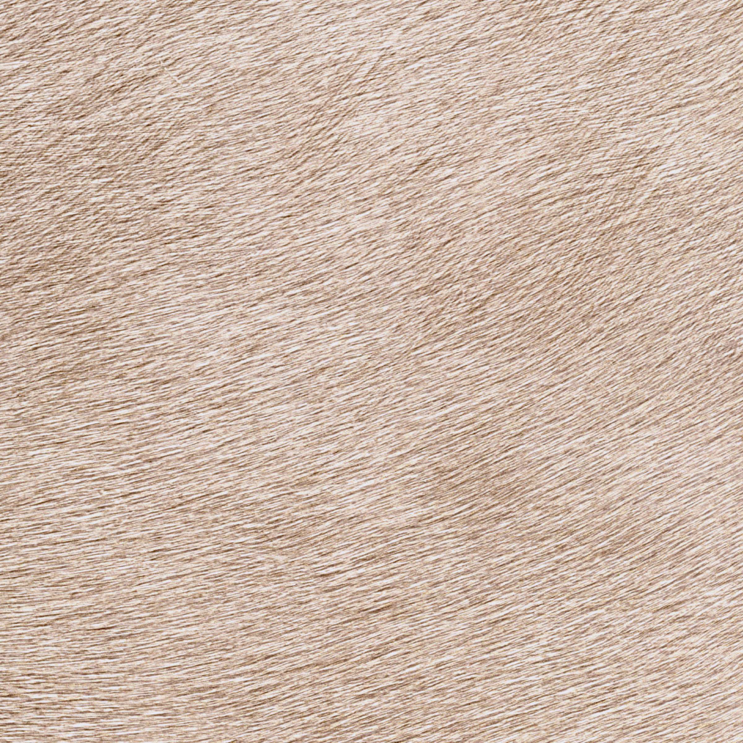 TAPETA ŚCIENNA MOVIDA - obrazek 8