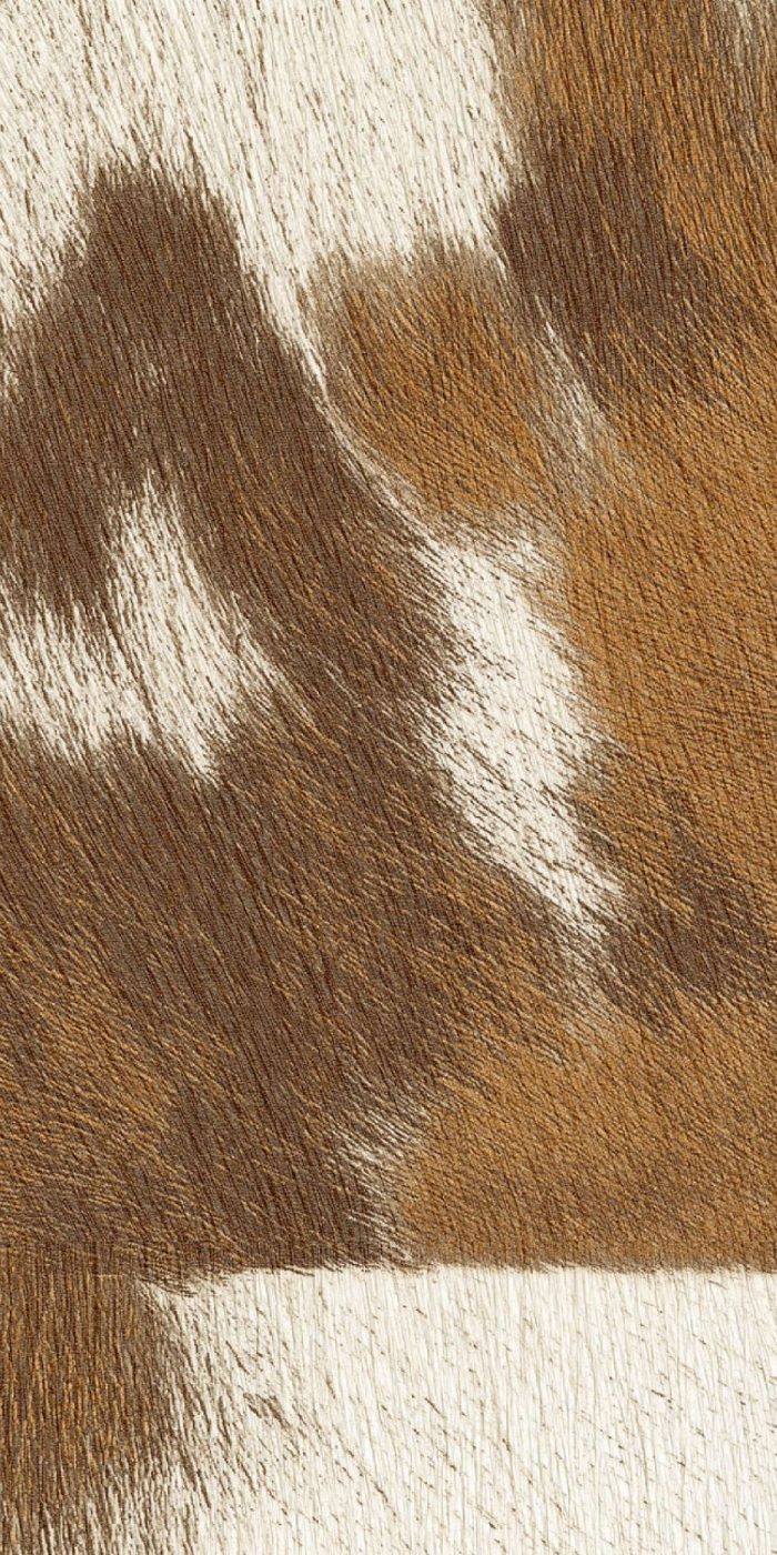 TAPETA ŚCIENNA VERACRUZ - obrazek 4