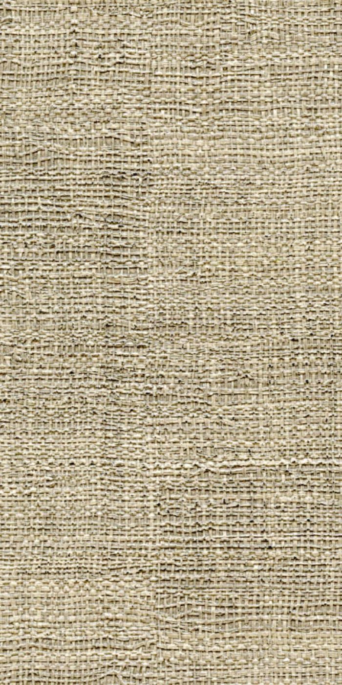 TAPETA ŚCIENNA MADAGASCAR - obrazek 10