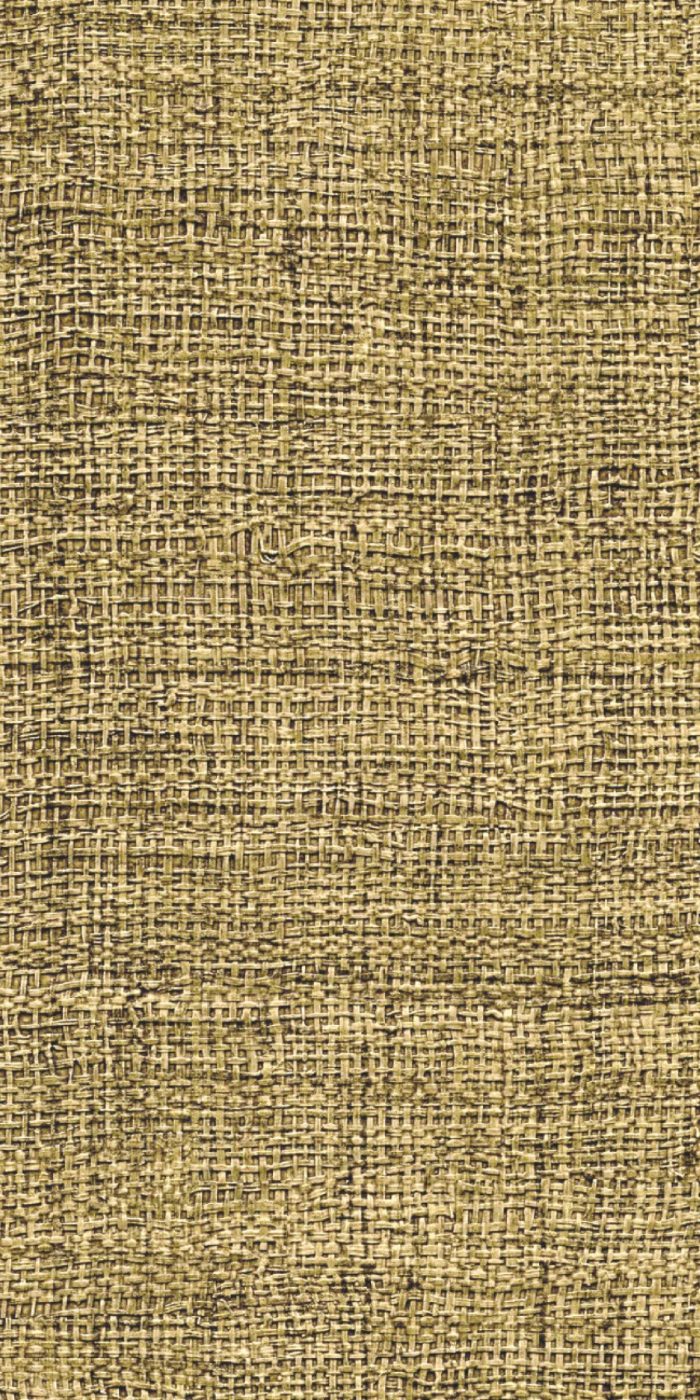 TAPETA ŚCIENNA MADAGASCAR - obrazek 8