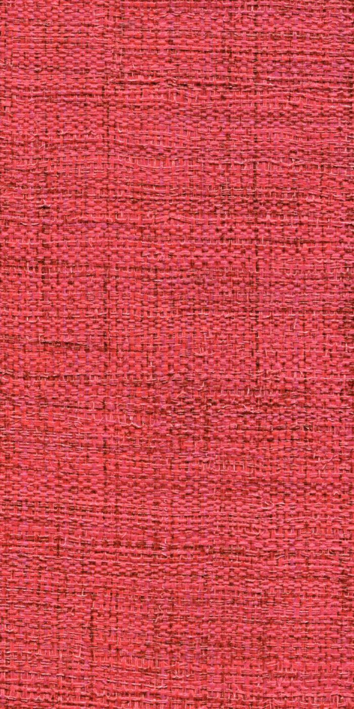 TAPETA ŚCIENNA MADAGASCAR - obrazek 13