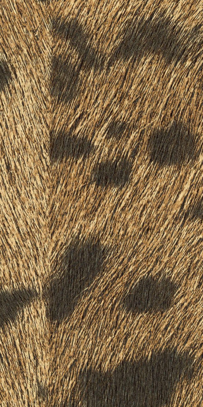 TAPETA ŚCIENNA PANTHERE - obrazek 4