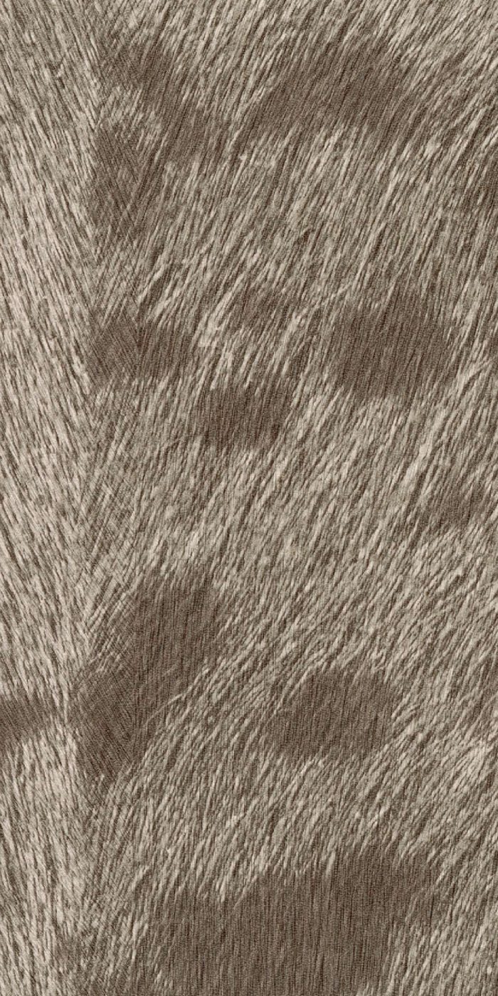 TAPETA ŚCIENNA PANTHERE - obrazek 6