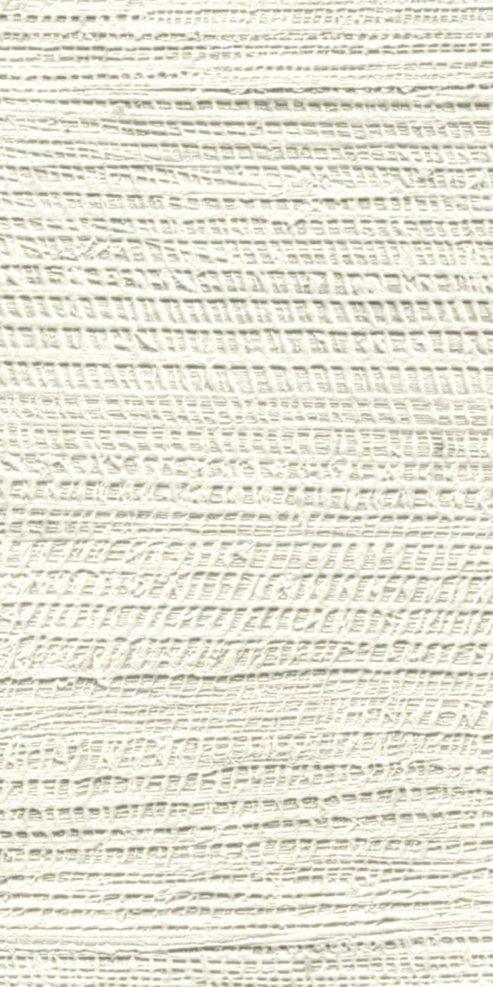 TAPETA ŚCIENNA SINABAYE - obrazek 11