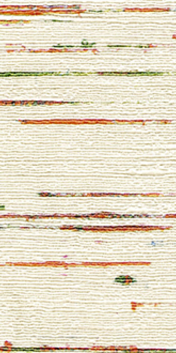 TAPETA ŚCIENNA INDIANA - obrazek 5