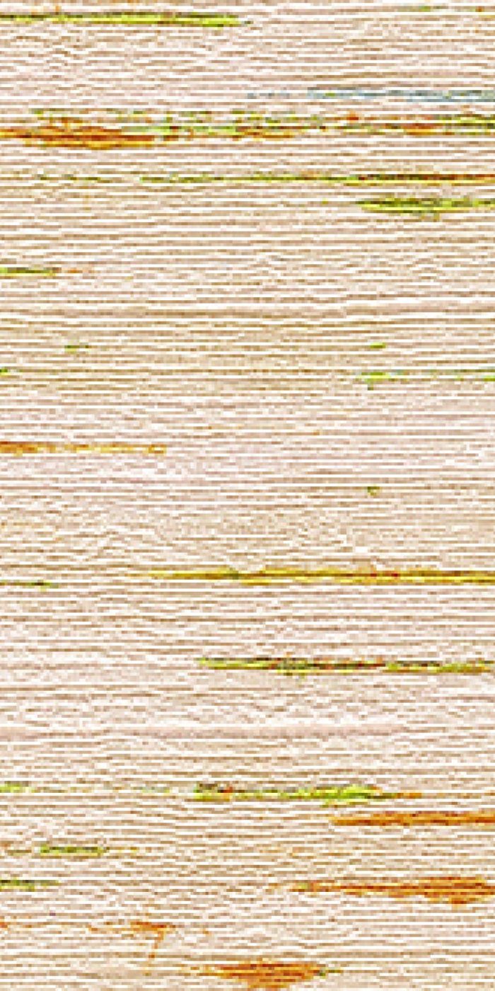 TAPETA ŚCIENNA INDIANA - obrazek 7