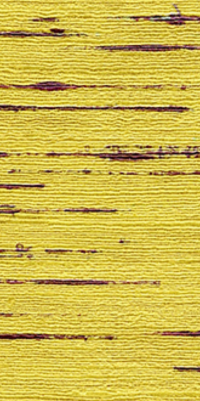 TAPETA ŚCIENNA INDIANA - obrazek 10