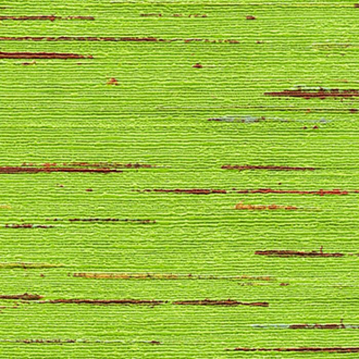 TAPETA ŚCIENNA INDIANA - obrazek 11