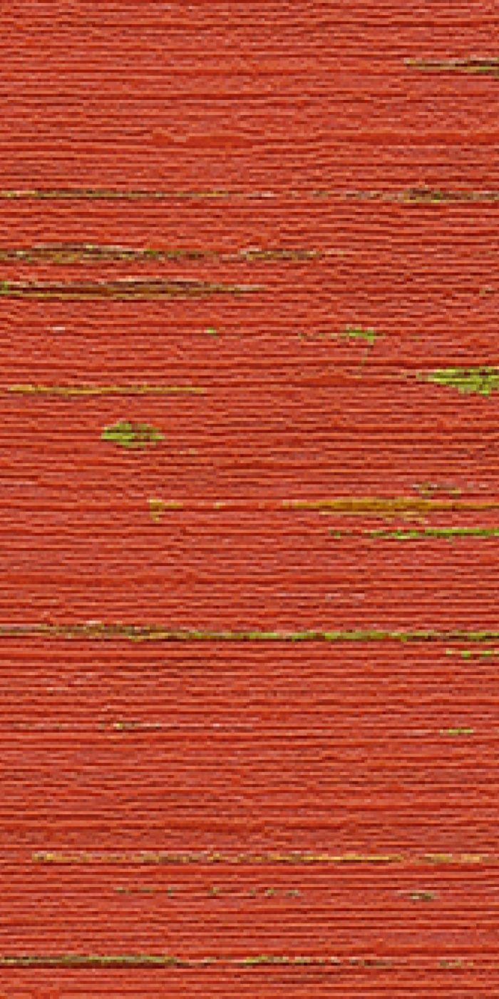 TAPETA ŚCIENNA INDIANA - obrazek 9