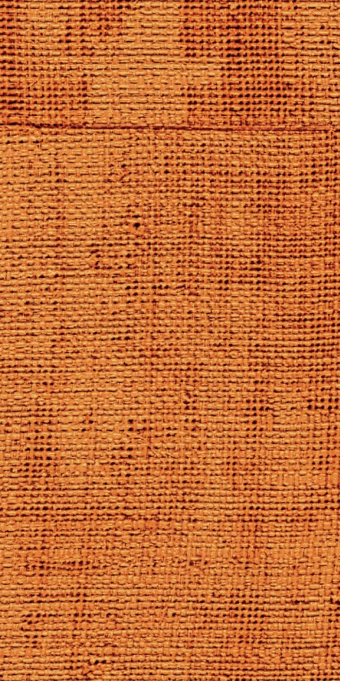 TAPETA ŚCIENNA ATELIER D'ARTISTE - obrazek 11