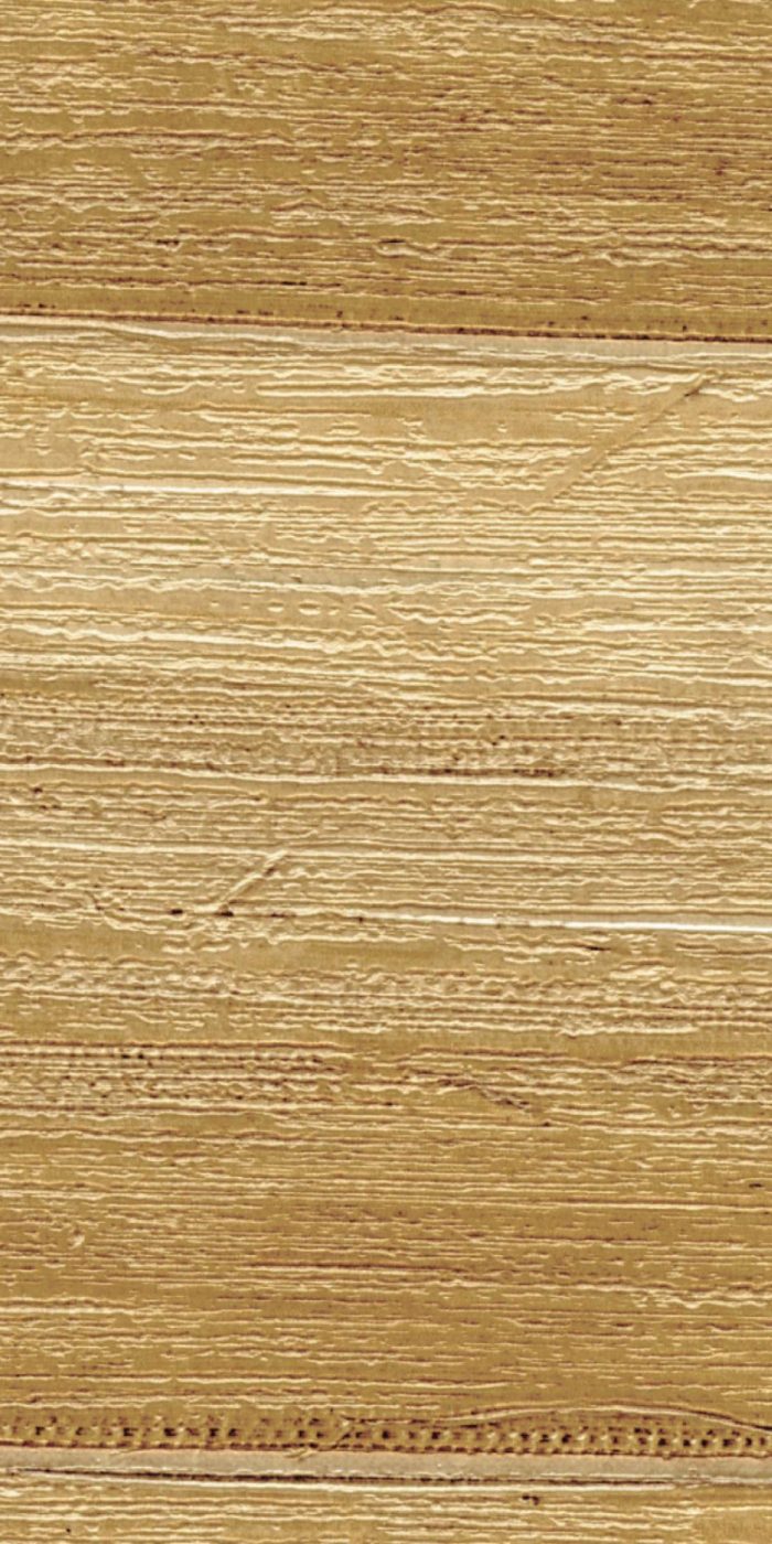 TAPETA ŚCIENNA ISOLA - obrazek 6