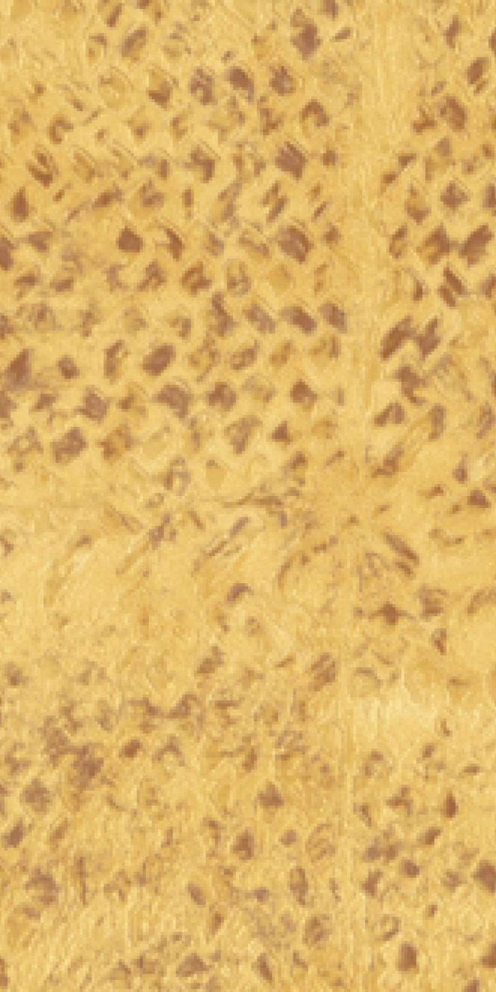 TAPETA ŚCIENNA LACA SALVAJE - obrazek 12