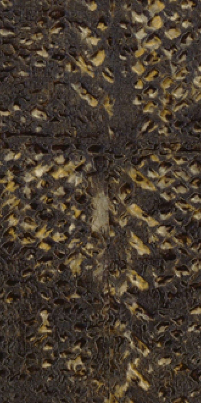 TAPETA ŚCIENNA LACA SALVAJE - obrazek 13