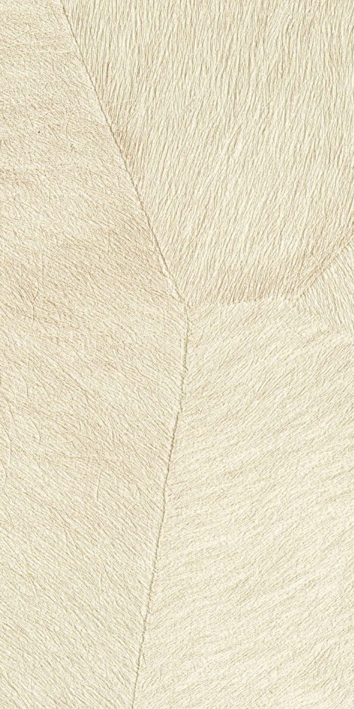 TAPETA ŚCIENNA PAMPA - obrazek 12