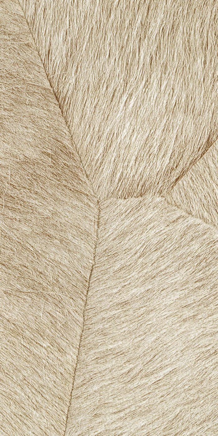 TAPETA ŚCIENNA PAMPA - obrazek 13