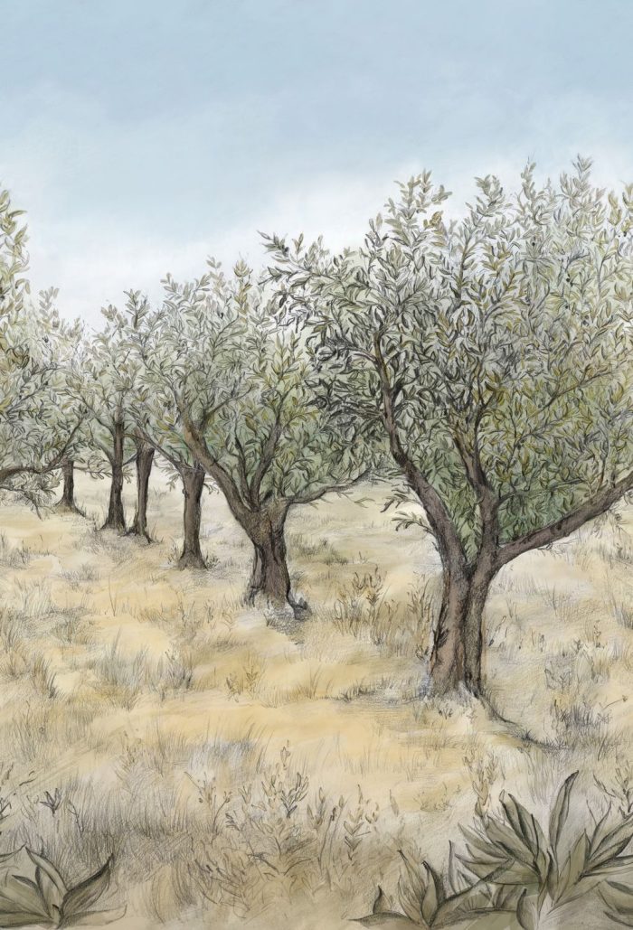 TAPETA ŚCIENNA LAURIS - obrazek 6