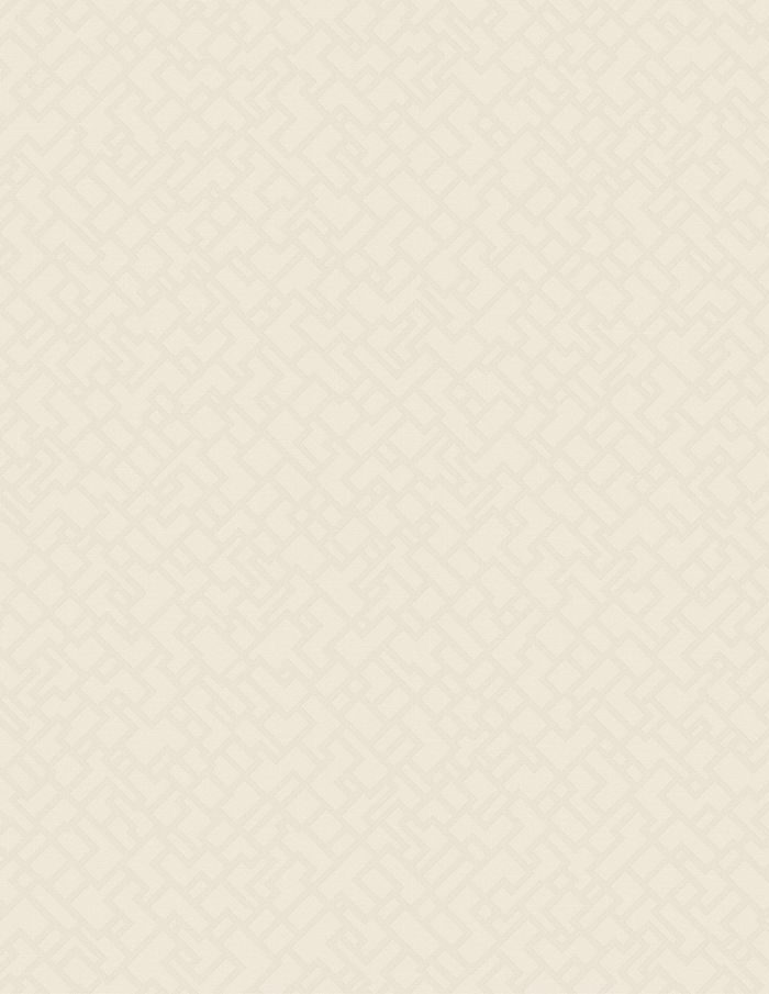 OKŁADZINA ŚCIENNA DEDALE - obrazek 15