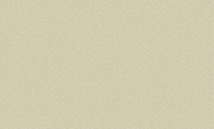 OKŁADZINA ŚCIENNA DEDALE - obrazek 16