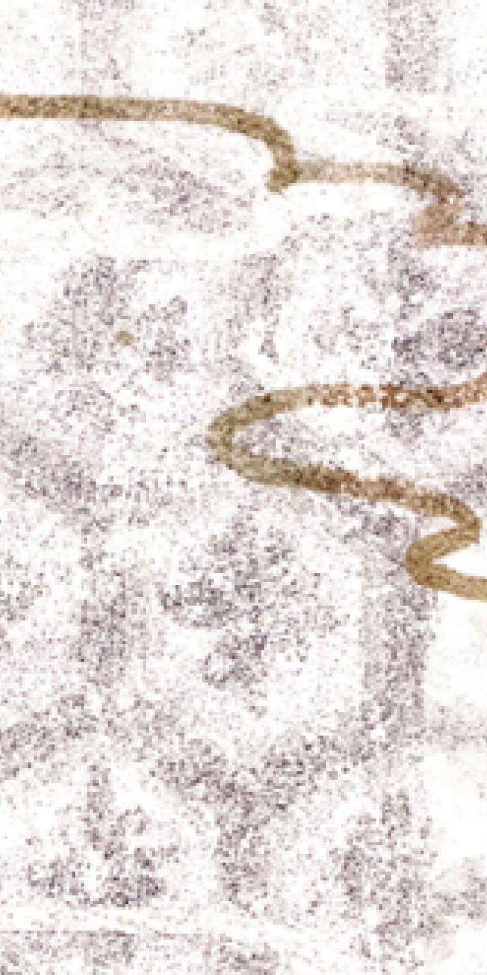 TAPETA ŚCIENNA DE LAC EN LAC - obrazek 6