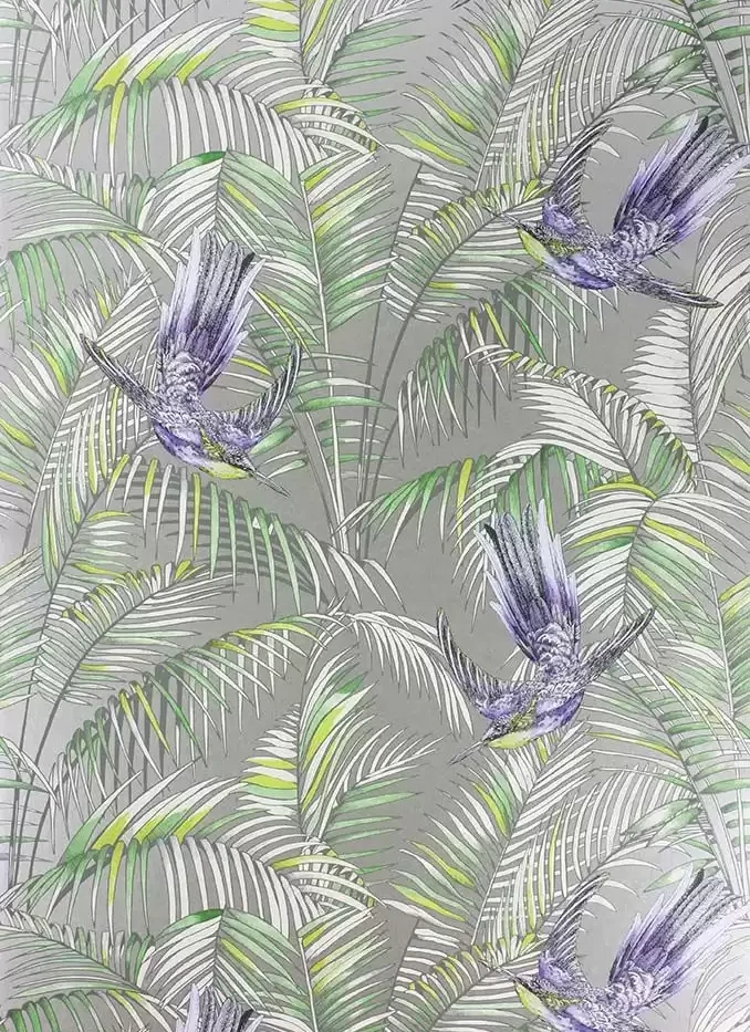 TAPETA ŚCIENNA SUNBIRD - obrazek 4