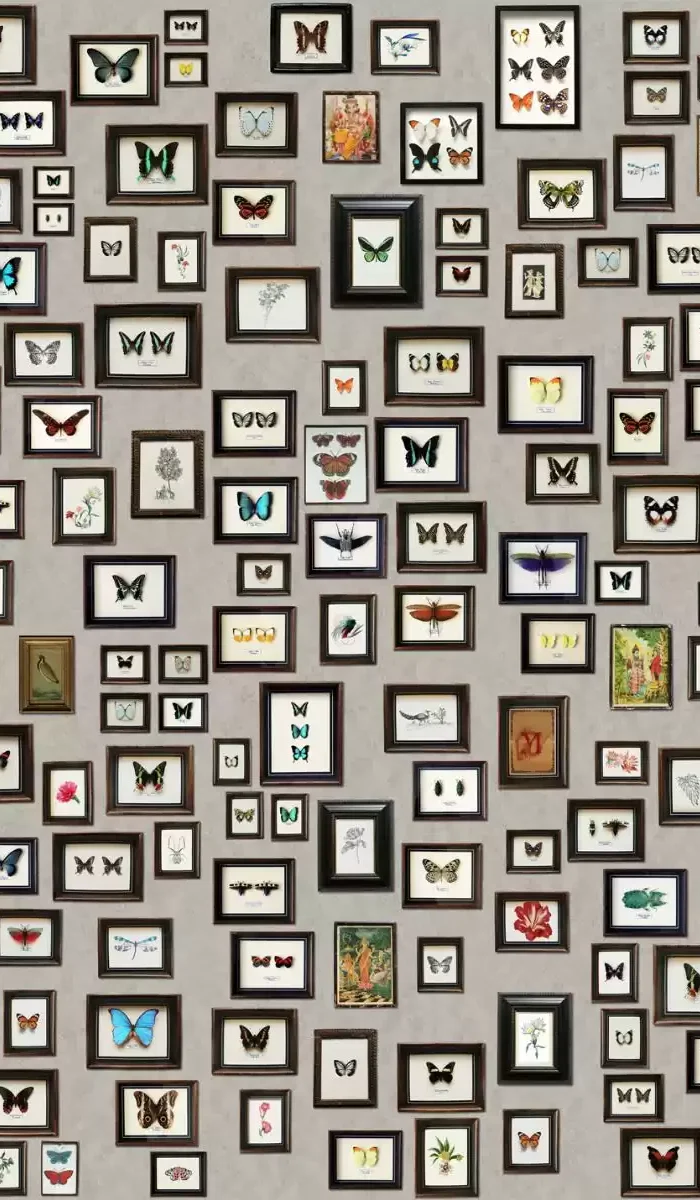 TAPETA ŚCIENNA NARISSA - obrazek 2