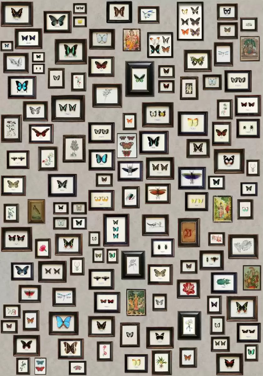 TAPETA ŚCIENNA NARISSA - obrazek 2